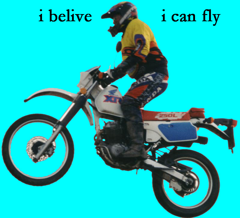 flyhgf flyhgf